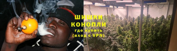 индика Богданович