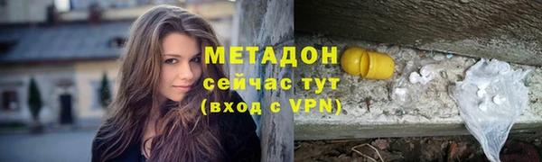 индика Богданович