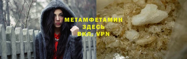 индика Богданович