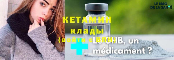 индика Богданович