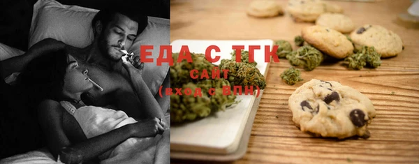 индика Богданович
