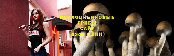 героин Богородицк