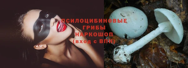 трава Вуктыл