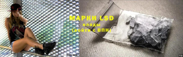 индика Богданович
