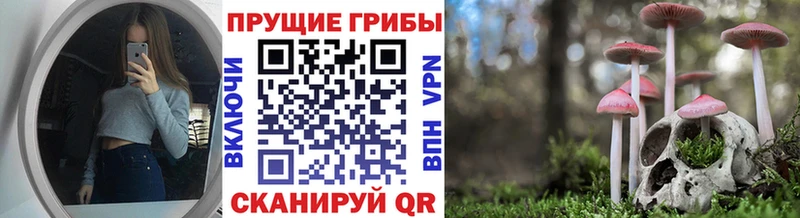 Галлюциногенные грибы мухоморы  где купить наркотик  Верхний Тагил 
